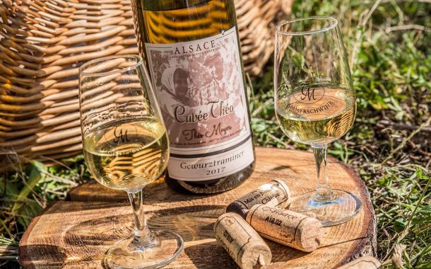 Domaine Théo Meyer et fils, vigneron indépendant à Ammerschwihr en Alsace