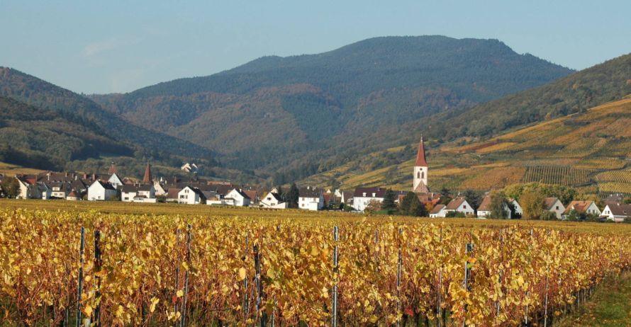Domaine Théo Meyer, Ammerschwihr, Alsace - Les millésimes